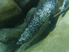 -临沂极地海洋王国