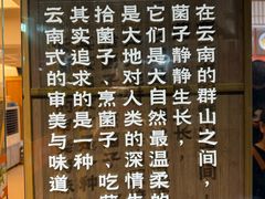 -鲜菌江湖正宗野生菌火锅