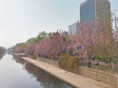 -元大都城垣遗址公园