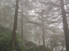 -芦芽山旅游度假区