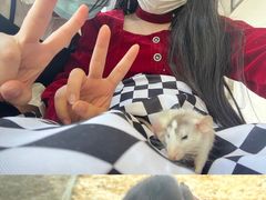 -怪兽屋·羊驼·猫咖·狗咖(俊华广场店)