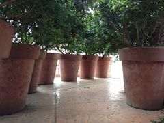 iphone_upload_pic-平湖九龙山庄园圣马可酒店