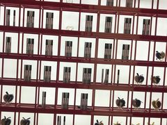 -苏宁极物(苏宁生活广场店)