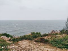 -广东惠东海龟国家级自然保护区