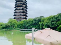 -听松楼·花园酒店·自助餐厅(红梅公园店)