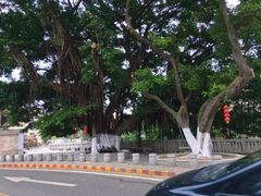 -李小龙乐园(顺德均安店)