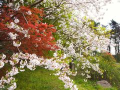 -共青国家森林公园-售票处