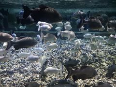 -成都浩海立方海洋公园