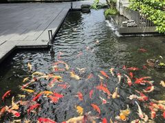 -广州白天鹅宾馆