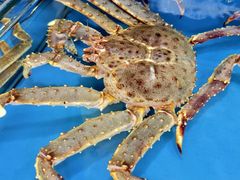 -粤盛海鲜平价店(洛溪食街店)