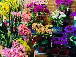 -花落谁家婚礼策划(永安街店)