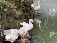 -兰亭风景区