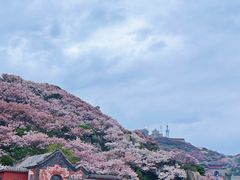 -泰山风景名胜区