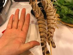 -鲜入围煮花胶鸡海鲜火锅