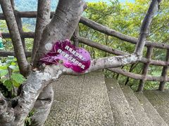 -石台牯牛降景区