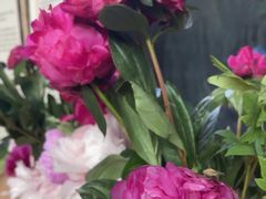 -花之城