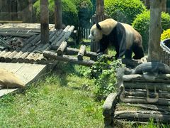 -大连森林动物园