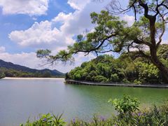 -广州市白云山风景名胜区
