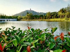 -狼山风景名胜区