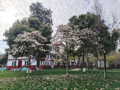 -四川大学(望江校区)