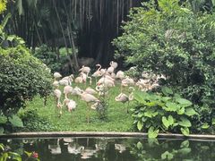 -九龙公园