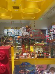 -乐高授权专卖店(岭南站NOVA店)