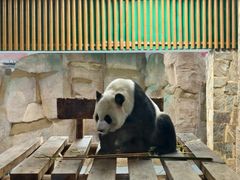 -无锡动物园·太湖欢乐园