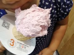 -野人先生现做冰淇淋(北京环宇荟店)