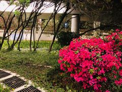 -荔香公园