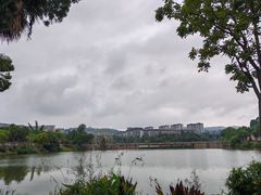 -枫香湖儿童公园