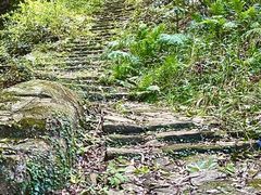 -普陀山慧济禅寺