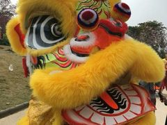 -天适樱花悠乐园