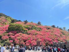 -木兰云雾山