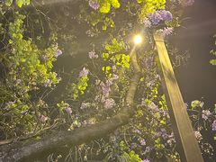 -熊氏牛羊杂粉(龙眼井总店)