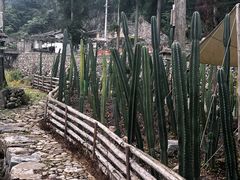 -MOJ coffee(瓯海泽雅水碓坑店)