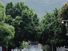 -梧桐山风景名胜区