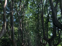 -T80科技文化国际社区-停车场