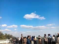 -上海佘山国家森林公园西佘山园