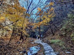 -玉渡山自然风景区