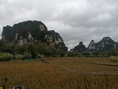 -明仕田园