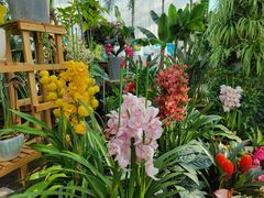 -国家植物园南园