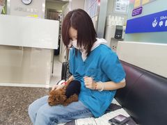 -申普宠物医院·心脏介入·心血管微创(总院)