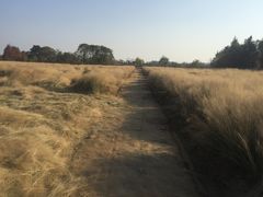 -军山湖云水间生态农业旅游景区