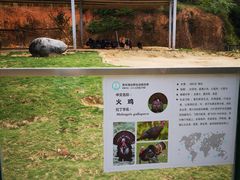 -泉州海丝野生动物世界