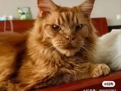 -水沐汇洗浴广场(香檀一号店)