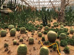 -泰山花样年华景区