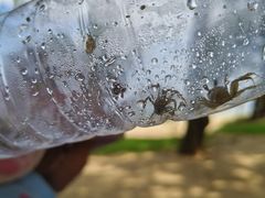 -三亚海棠湾万丽度假酒店