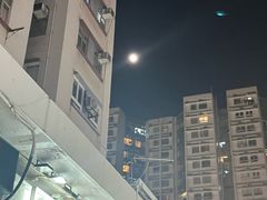 -澳洲牛奶公司(佐敦店)