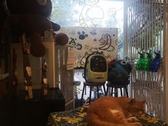-平行世界·猫咖(首经贸店)