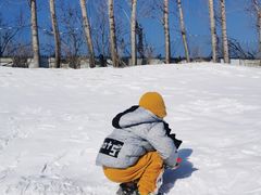 -1982农场